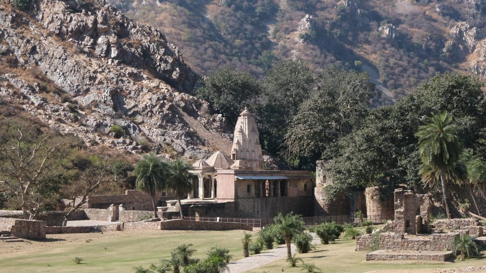 Jaipur: Same-Day Bhangarh Fort & Chand Baori Stepwell Tour - Price and value for $43: what’s included