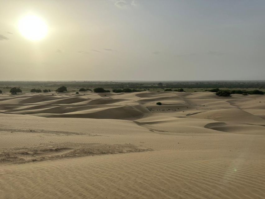 JAISALMER : DESERT EXPERIENCE SLEEPING UNDER THE STAR - From Jaisalmer to the dunes: how the day flows