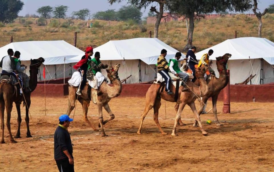 Jaisalmer: Jeep Safari,Camel Ride,Buffet Dinner & Folk Dance - My booking verdict: book if desert riding is your priority