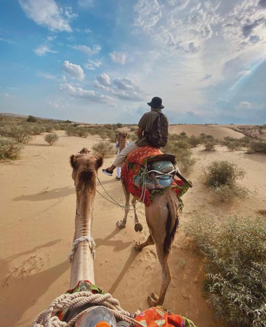 James Desert Experience - Entering the Thar: the real feel starts in Jaisalmer