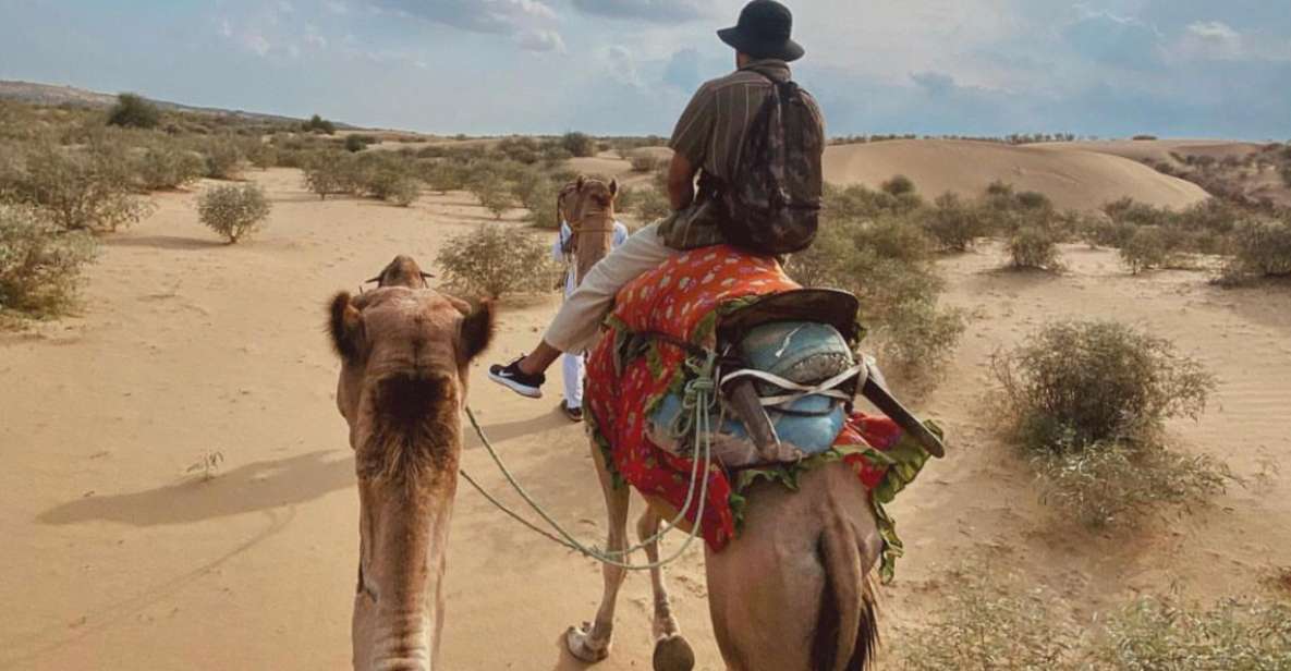James Desert Experience - Desert National Park crossing: camels, walking time, and an oasis break