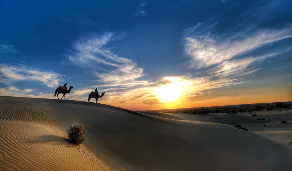 James Desert Experience - Overnight under billion stars: blankets, mattress, and quiet