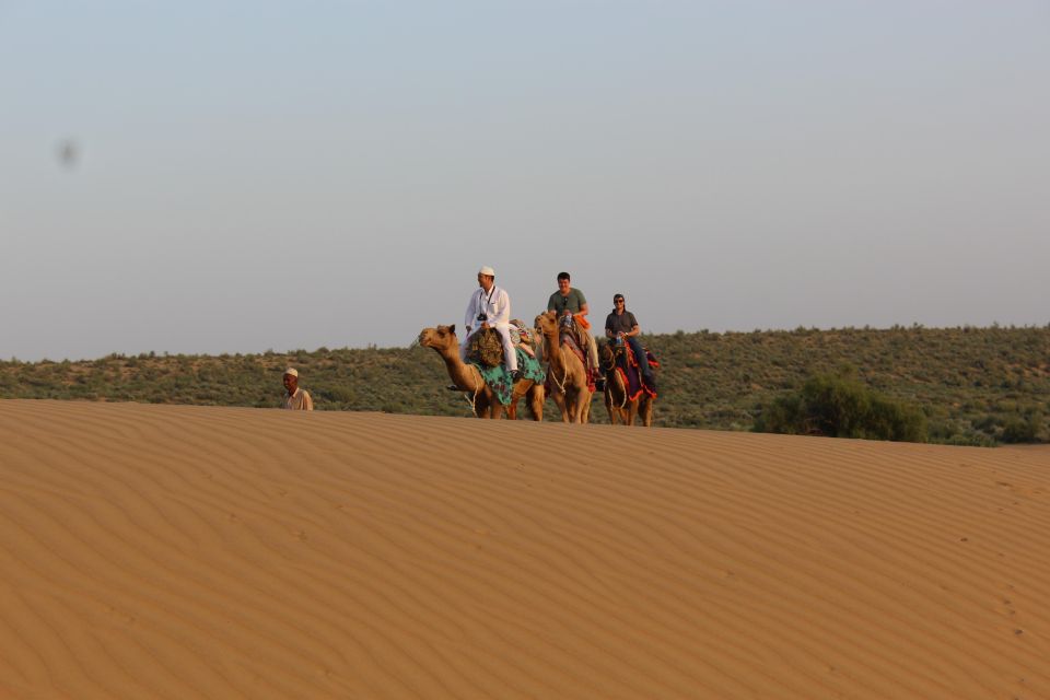 James Desert Experience - Sunrise tea and morning camel time: don’t skip the early hours