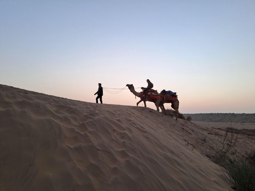 Jeep & Camel Ride, Musical Evening in The Desert Luxury Camp - Key highlights to look for