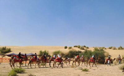 Jeep & Camel Ride, Musical Evening in The Desert Luxury Camp - From hotel pickup to Kuldhara: why this abandoned village stop works