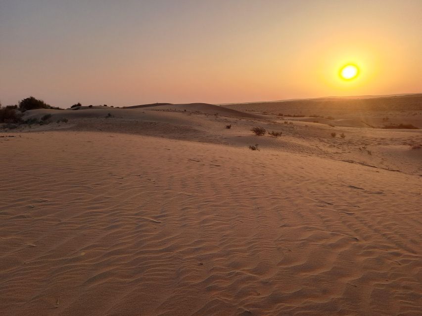Jeep & Camel Ride, Musical Evening in The Desert Luxury Camp - Practical tips to make your day smoother