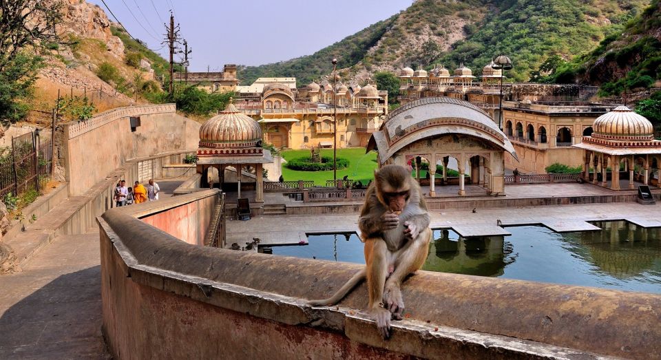 Jodhpur: Blue City Walking Tour - The blue house stories: why the color matters beyond the aesthetic