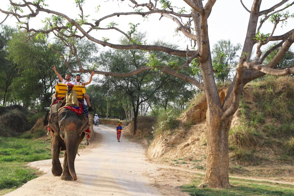 Jodhpur: Blue City Walking Tour - Price and value: why $18 can make sense for a short, story-led tour