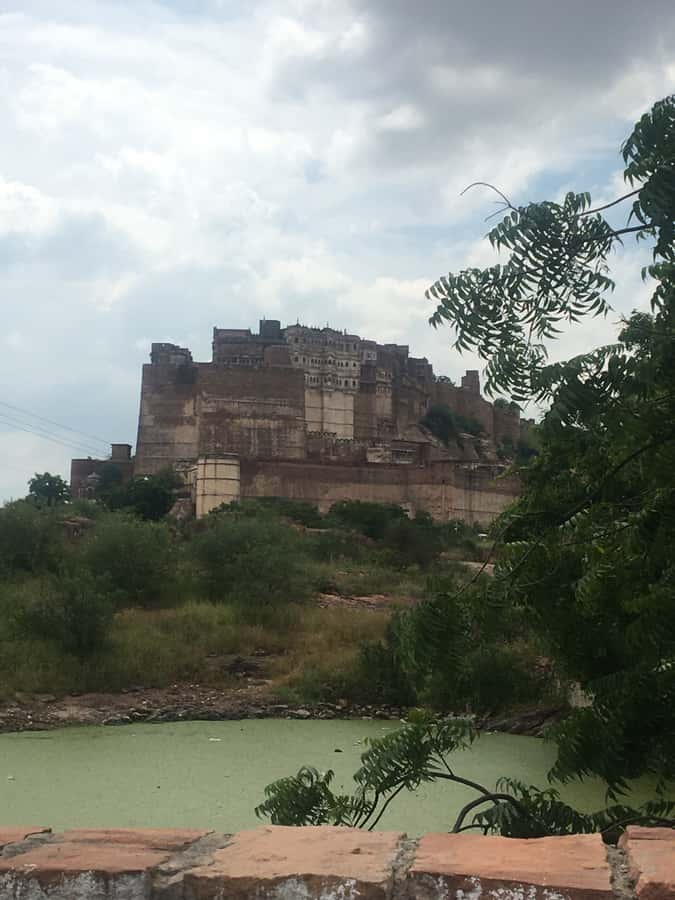 jodhpur blue city walking tour with guide - Should You Book This Jodhpur Blue City Walking Tour?