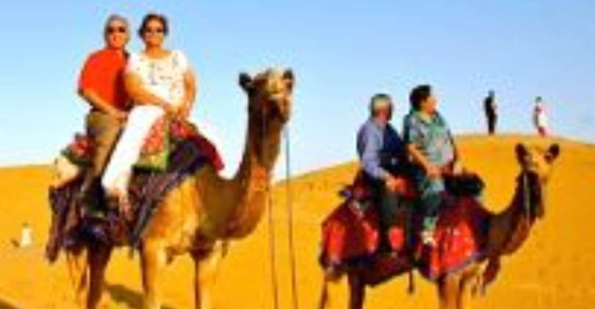 Jodhpur Camel & Jeep Safari with Sunset, Folk Dance, Dinner - Road into Osian: from Jodhpur pickup to temple town