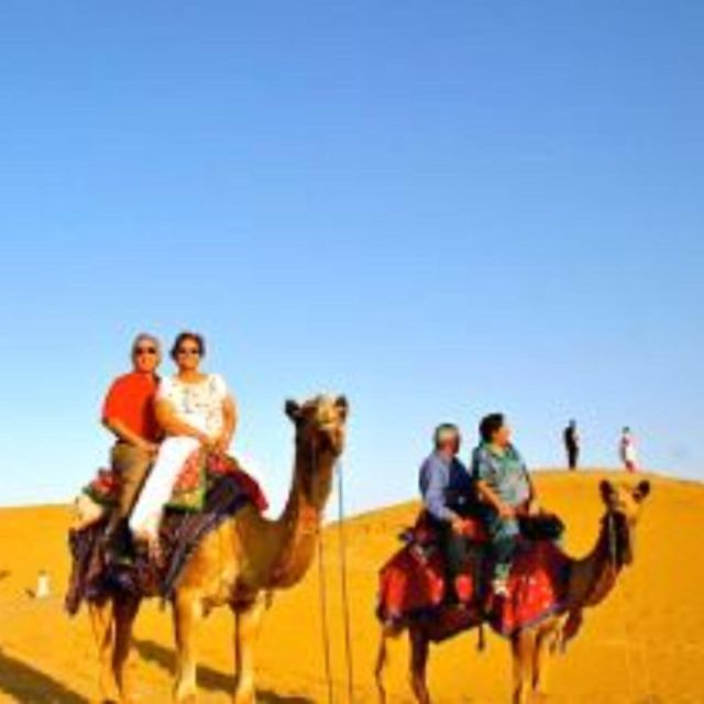 Jodhpur Camel & Jeep Safari with Sunset, Folk Dance, Dinner - Camel safari through the dunes: the slower Rajasthan moment you’ll remember