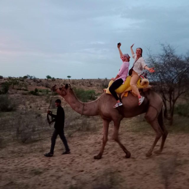 Jodhpur Camel & Jeep Safari with Sunset, Folk Dance, Dinner - Timing and logistics that matter once you’re in the desert