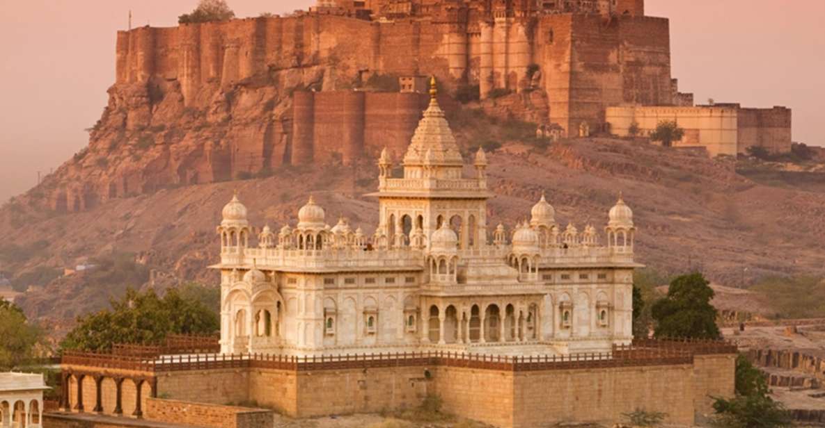 Jodhpur: Full-Day City Private Tour & Camel Safari - Mehrangarh Fort: palaces, museum, and the guide who makes it click