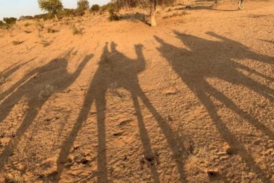 Jodhpur: Full-Day City Private Tour & Camel Safari - Morning pickup and the comfort of a private driver