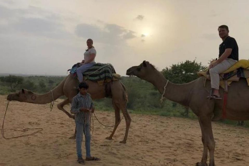 Jodhpur: Full-Day City Private Tour & Camel Safari - Sunset camel safari in Osian: 45 minutes on the dunes