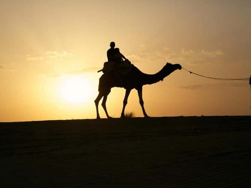 Jodhpur : Jeep Safari, Camel Ride,Buffet Dinner & Folk Dance - Key Things That Make This Tour Worth Your Evening