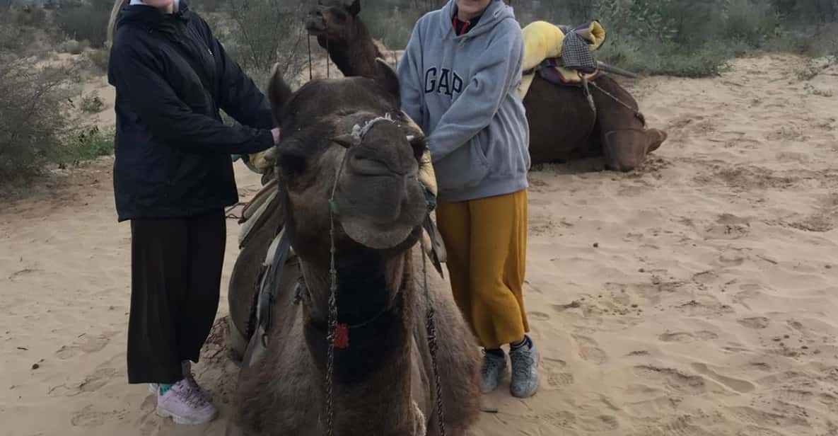 Jodhpur OvernightStay In Desert Rural Village With CamelRide - Marwadi cooking on a clay chulha (and yes, you get dinner)