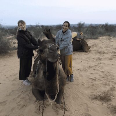Jodhpur OvernightStay In Desert Rural Village With CamelRide - Wood-fire chai and the kind of hospitality that teaches you something