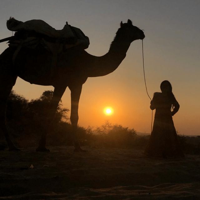 Jodhpur OvernightStay In Desert Rural Village With CamelRide - Sunrise camel safari: the moment the desert becomes alive