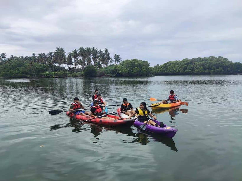 Kayaking in Backwaters of Pondicherry - Key things to know before you go