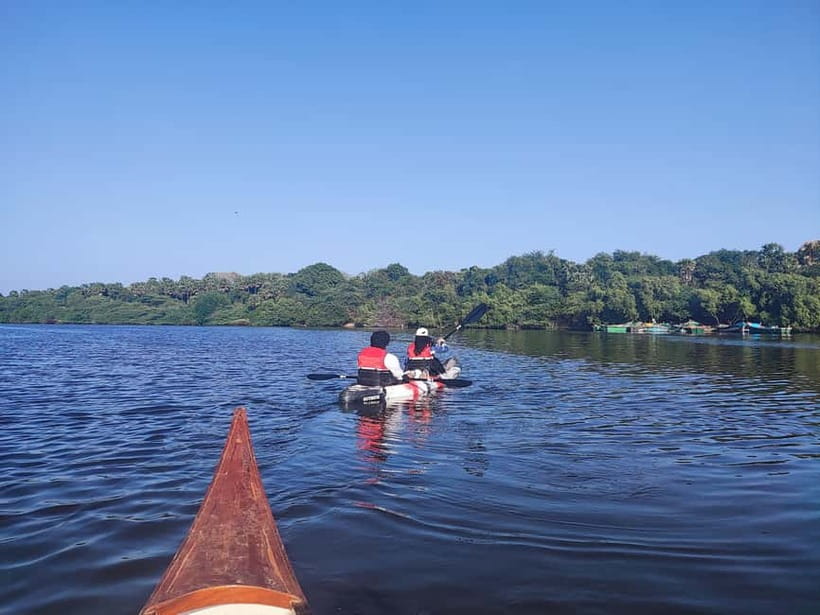 Kayaking in Backwaters of Pondicherry - Sliding Into Pondicherry’s Backwaters on Ariyankuppam River