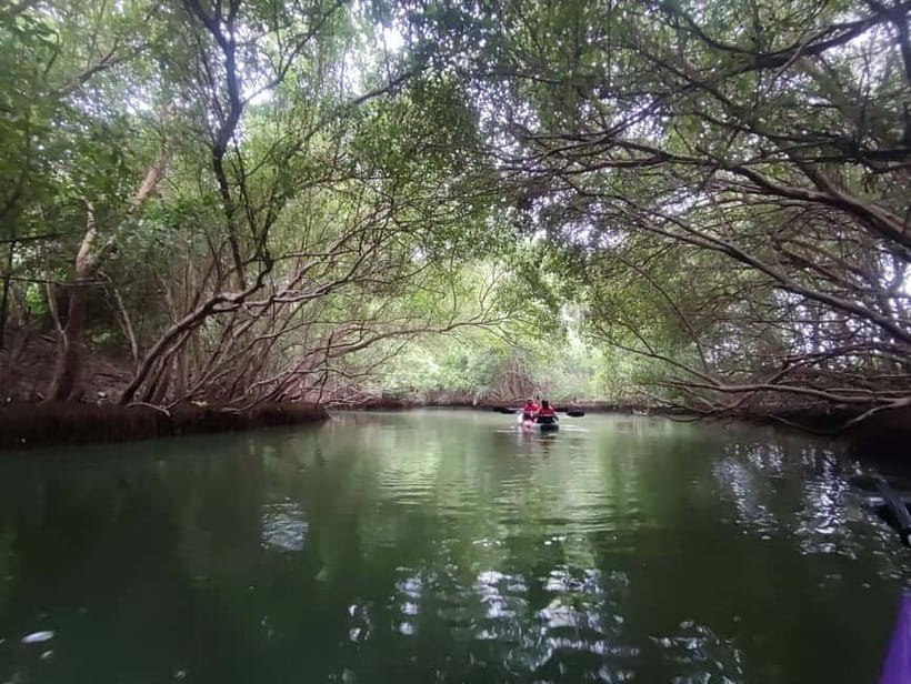 Kayaking in Backwaters of Pondicherry - The Full Hour of Kayaking: How the Paddle Time Works