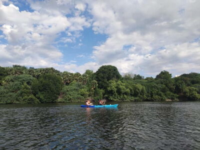 Kayaking in Backwaters of Pondicherry - Starting At Art and Craft Village: Easy Setup, Friendly Leads