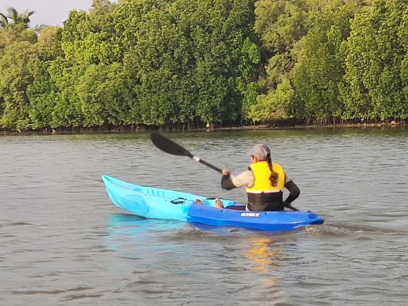 Kayaking in Backwaters of Pondicherry - Wildlife Moments: Birds, Ripples, and Quiet Surprise