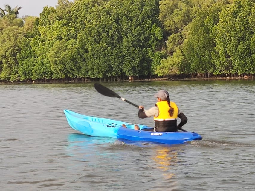 Kayaking in Backwaters of Pondicherry - Price and Value: Is $10 Worth an Hour?