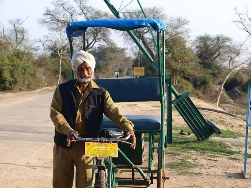 Keoladeo National Park Tickets and Guided Tour - Keoladeo National Park in 3 hours: the realistic game plan