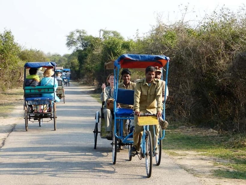 Keoladeo National Park Tickets and Guided Tour - Choosing your pace: guided rickshaw vs self-exploring