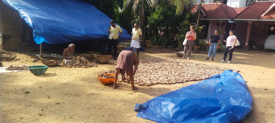 Kochi: Backwater Exploration in Village: Free Pickup & Drop - Price and Value: Is $63 a Fair Deal?
