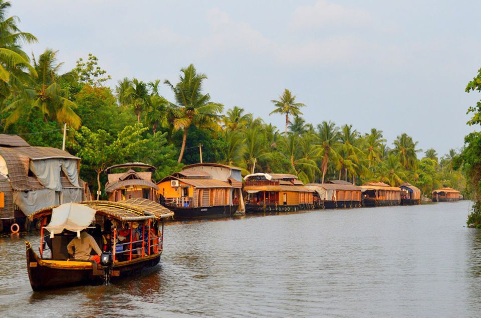 Kochi: Private Backwater Houseboat Day Cruise with Transfers - Punnamada Lake and the backwater channels: what you’ll actually see
