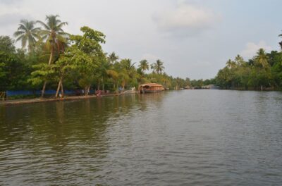 Kochi: Private Backwater Houseboat Day Cruise with Transfers - Chinese fishing nets, rice fields, and Arabian Sea glimpses