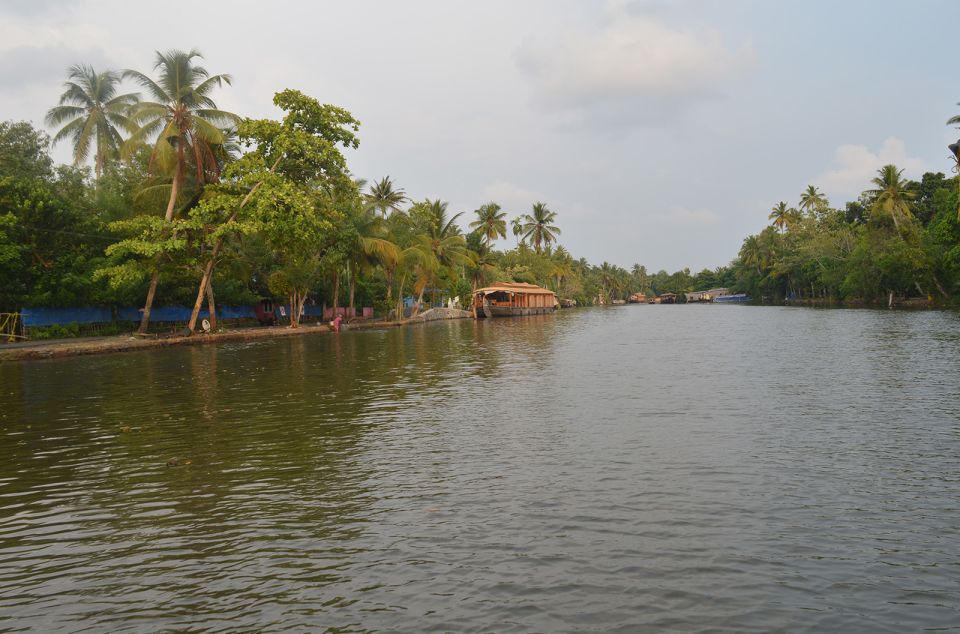 Kochi: Private Backwater Houseboat Day Cruise with Transfers - Chinese fishing nets, rice fields, and Arabian Sea glimpses