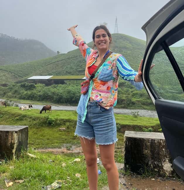 Kochi to Munnar: Eravikulam, lockhart & Waterfalls day tour - Tea garden stop: viewpoints, plantation pace, and what to look for