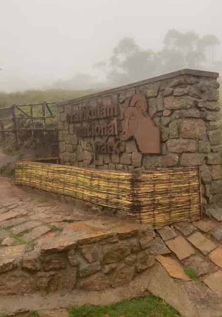 Kochi to Munnar: Eravikulam, lockhart & Waterfalls day tour - Eravikulam National Park: Nilgiri Tahr spotting and real mountain air
