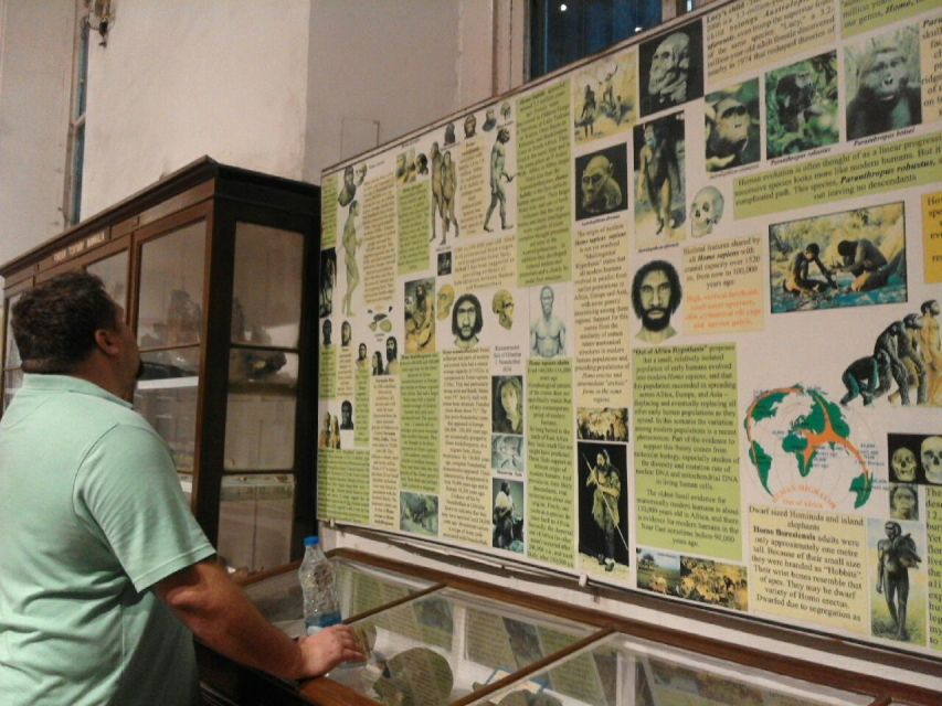Kolkata: Guided Heritage Walking Tour - Governor’s House: where Wellesley’s era shows in the buildings