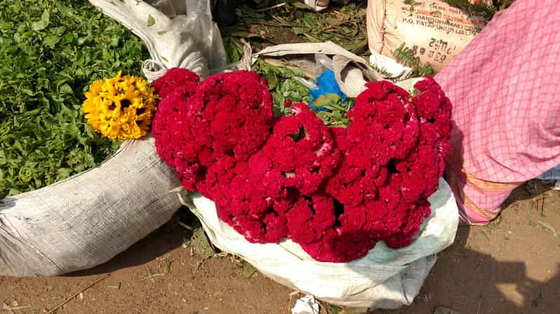 Kolkata: Half-Day Morning Tour w/ Flower Market - Key Things You’ll Notice on This Morning Tour