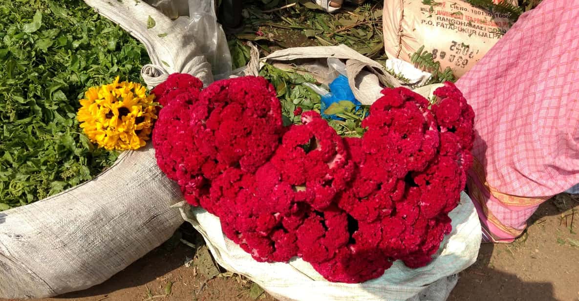 Kolkata: Half-Day Morning Tour w/ Flower Market - A 4-Hour Morning Plan Around Kolkata Icons