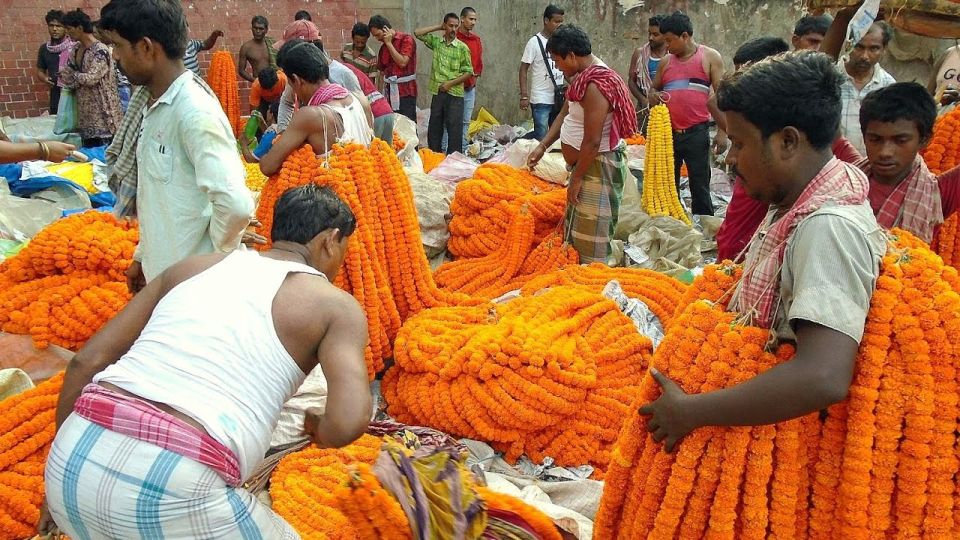 Kolkata: Private Tour of City of Joy with Licensed Guide - A Private 8 Hours in Kolkata’s City of Joy