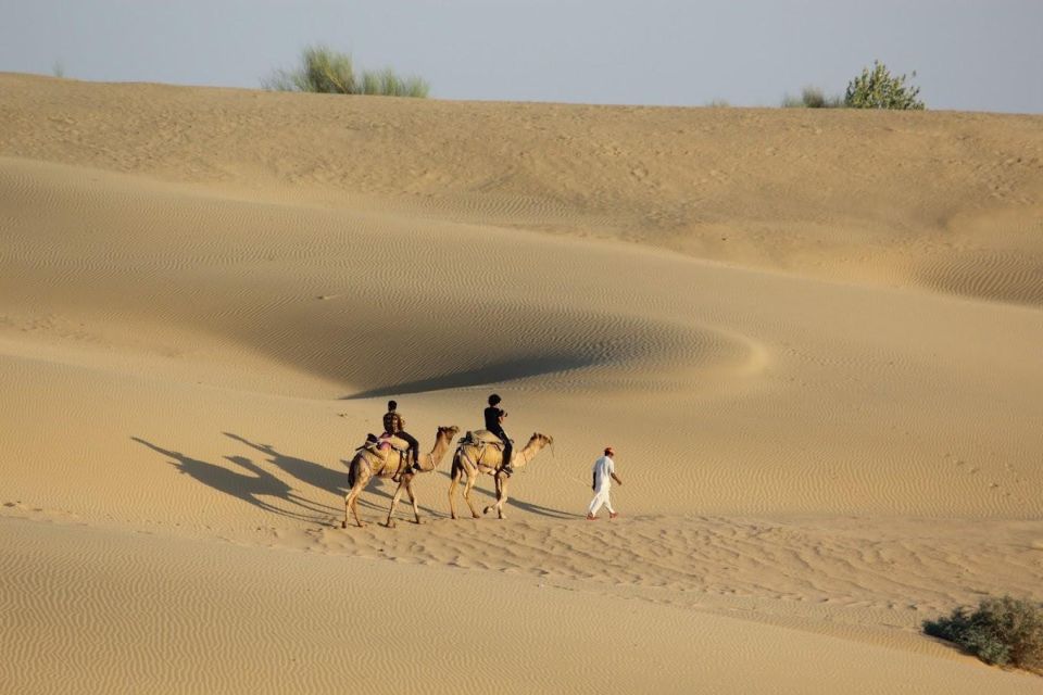 Luxury tent, dinner, breakfast, camel ride in thar desert - Price and value: is $76 a good deal for this mix?