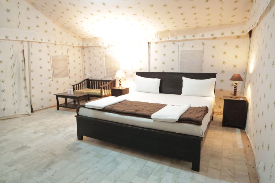 Luxury tent, dinner, breakfast, camel ride in thar desert - The Thar Desert overnight: why this beats a quick day trip