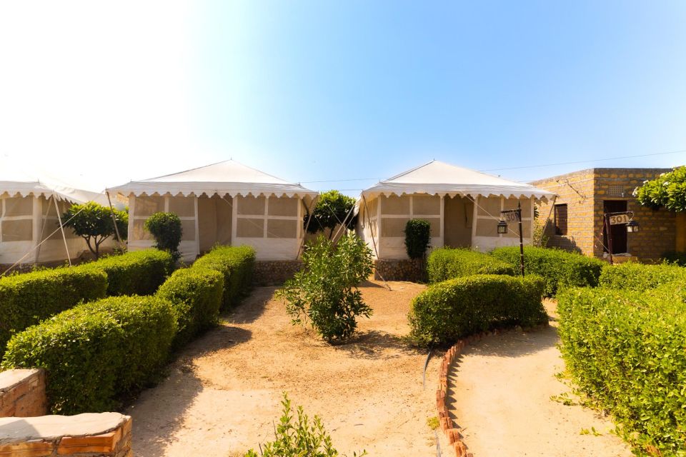 Luxury tent, dinner, breakfast, camel ride in thar desert - Camel ride at sunset: why it’s the emotional peak