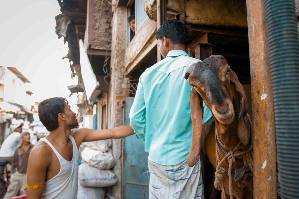 Mumbai: Dharavi Tour Including Car Transfer - From Colaba to Dharavi: the car ride that gives you bearings fast