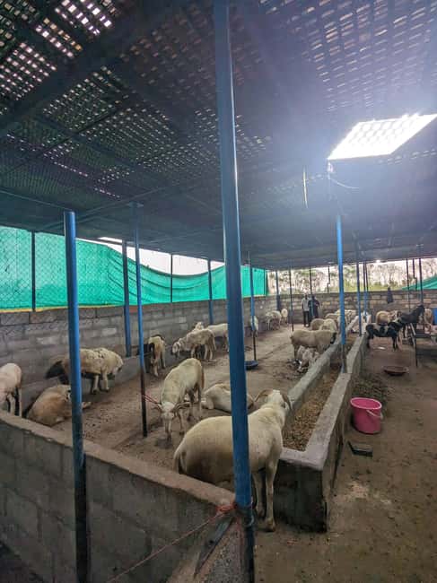 Nandi hills trek sunset or sunrise drive from Bangalore - Jain Temple stop and the Mahaveer Jain connection