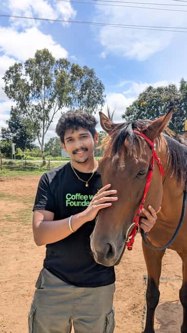 Nandi hills trek sunset or sunrise drive from Bangalore - The countryside side: cows, sheep, and organic farming time