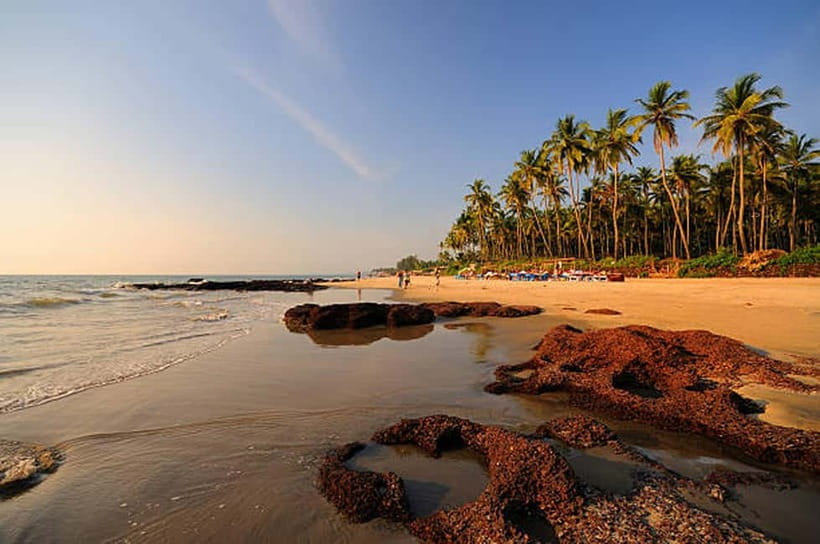 North Goa: Private Day Tour - Who This North Goa Day Tour Suits Best (and Who Should Skip It)