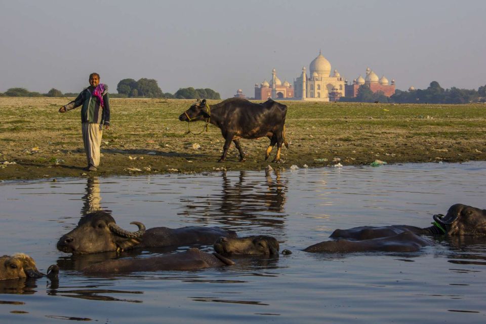 Taj Mahal, Agra Fort Day Tour with Transfers - Delhi to Agra by car: how the drive shapes the day